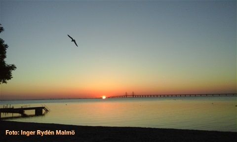 Foto: Inger Rydén Malmö.